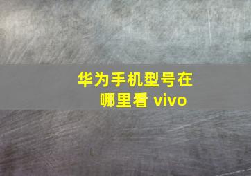 华为手机型号在哪里看 vivo